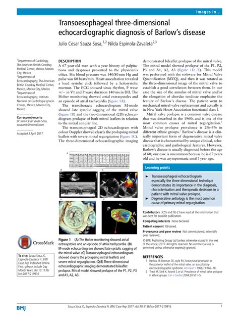 (PDF) Transoesophageal three-dimensional echocardiographic diagnosis of ...