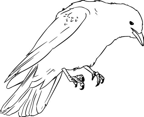 SVG > animal crow - Free SVG Image & Icon. | SVG Silh