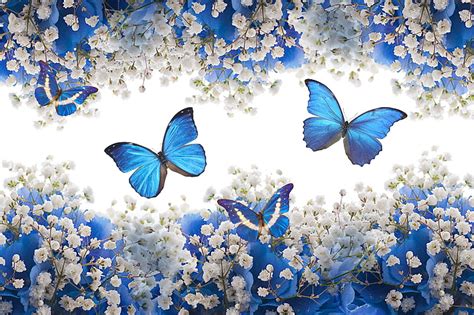 1280x1024px | free download | HD wallpaper: butterfly, flower ...