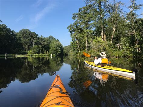 Find Your Chesapeake: Pocomoke River State Park – Attraction