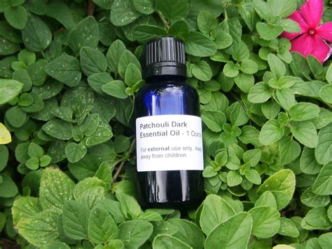 Patchouli Essential Oil - Uses and Benefits