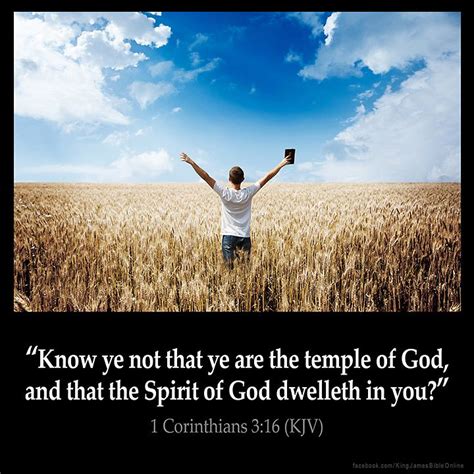 1 Corinthians 3:16 | Kjv, Bible verses kjv, King james bible verses