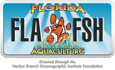 Florida Aquaculture Plate | Florida Atlantic University