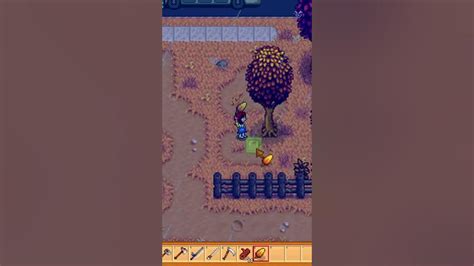 Stardew Valley Mahogany Tree | Stardew Valley 1.5 | 2021 - YouTube