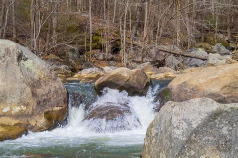 Meanderthals | Green River Cove Trail, Green River Game Lands