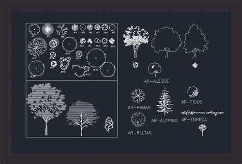 Trees 2D DWG Block for AutoCAD • Designs CAD