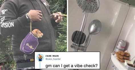 What Does VIbe Check Mean? A Dozen Vibe Check Memes That Explain It