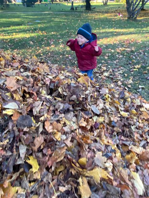 Jumping in Leaves