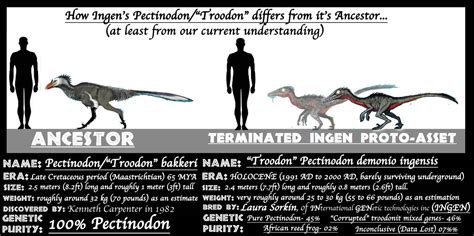 ASSETS MEET ANCESTORS- PECTINODON/TROODON by Taliesaurus on DeviantArt