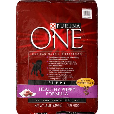 Purina ONE Dog Food, Healthy Puppy Formula | Dog Food | Foodtown