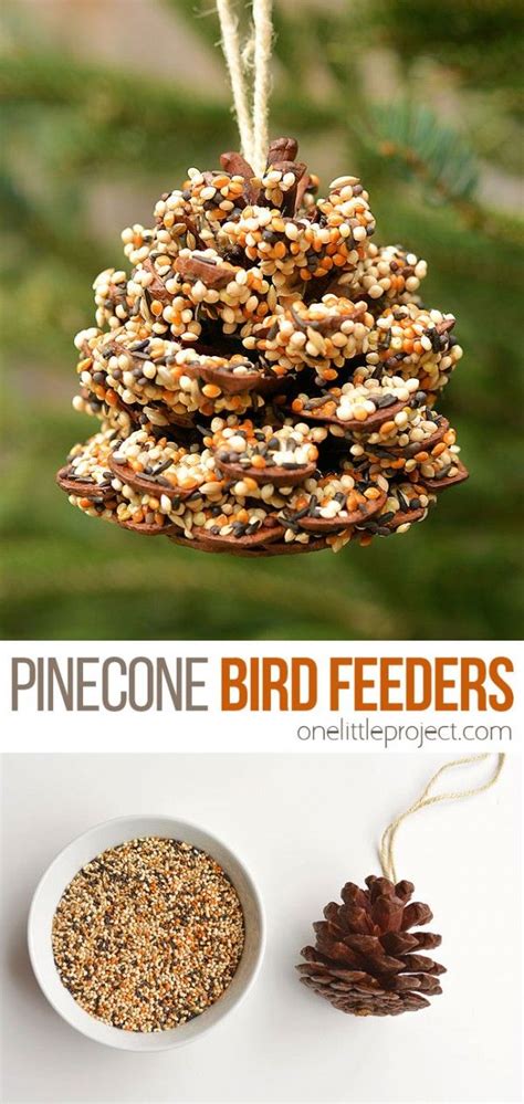 DIY Pinecone Bird Feeders for a Fun Backyard Activity