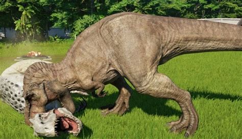 13 Terrific Facts About The Tyrannosaurus Rex | The Fact Site