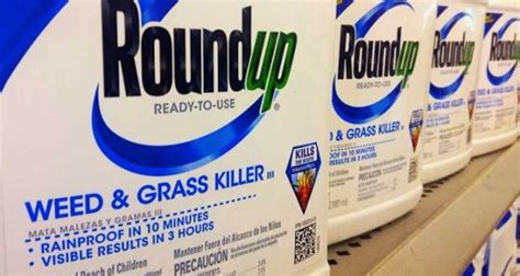 Weed killer Roundup contains ingredient that can kill human cells