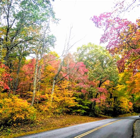 Fall foliage on the Blue Ridge Parkway. | Blue ridge parkway, Fall ...