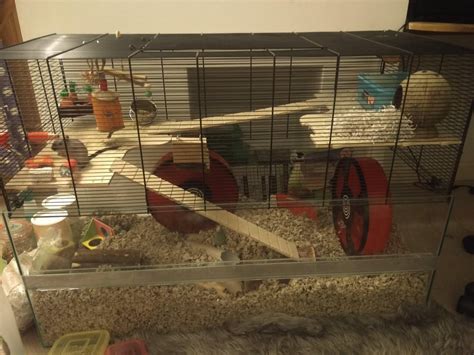 Is this a good cage? Are they happy in here? : gerbil