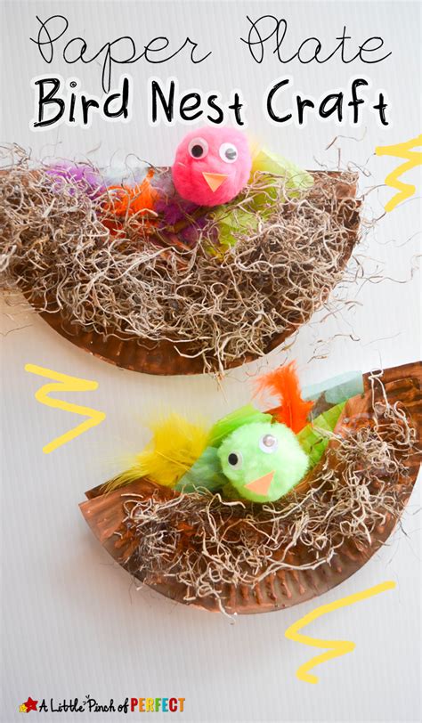 Paper Plate Bird Nest Craft the Kids will Cheep About - A Little Pinch of Perfect | Spring ...