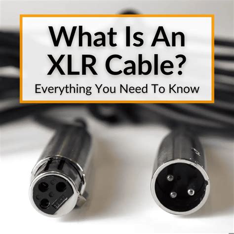 What Is An XLR Cable? (Everything You Need To Know)