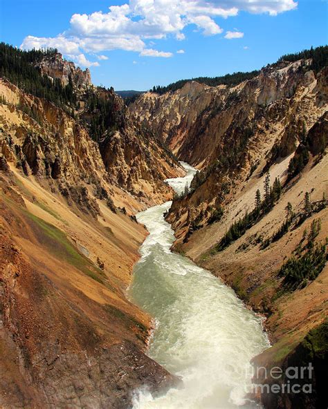 Grand Canyon of Yellowstone Photograph by Jemmy Archer - Pixels