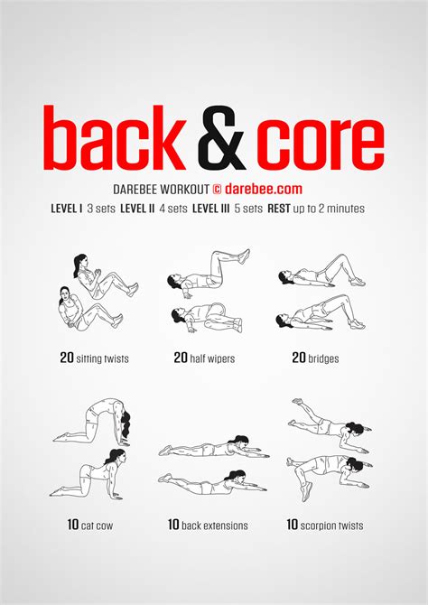 Exercises For Core Strength And Back Pain at brockmnorman blog