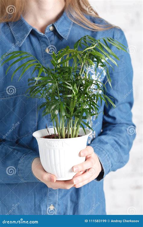 Young Woman Cultivating Home Plants Stock Image - Image of environment, flower: 111583199