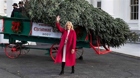 First lady Jill Biden accepts White House Christmas tree - ABC News