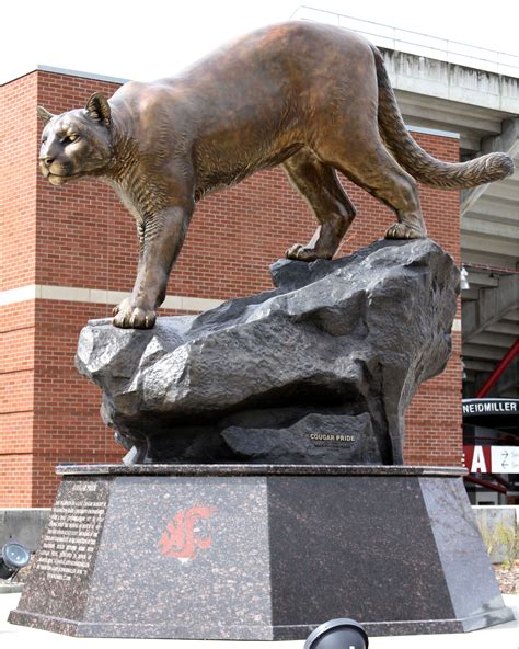 Cougar Pride | Bronze Cougar Mascot University Sculpture Monument