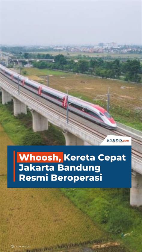 Kata Jokowi Soal Rekruitmen Pramugari Kereta Cepat Whoosh Wajib Bisa ...