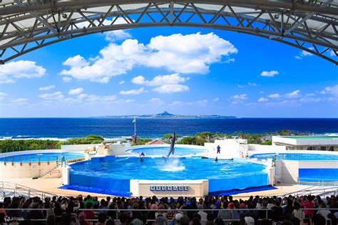 Ryukyu Mura E-Tickets and Churaumi Aquarium Tickets - Klook Singapore