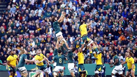 Brace for Herschel Jantjies as Springboks thunder past Wallabies