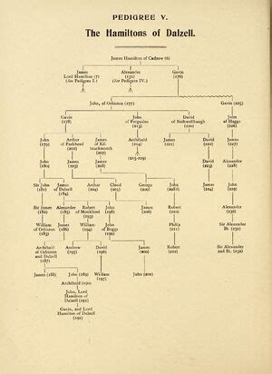 Alexander Hamilton Family Tree Today - Best Image Home