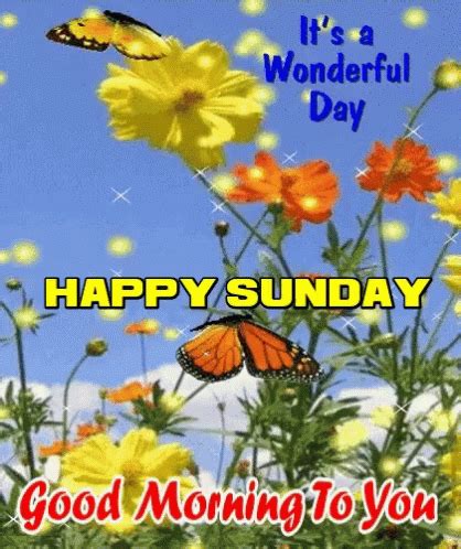 Happy Sunday Good Morning GIF - HappySunday GoodMorning SundayMorning ...