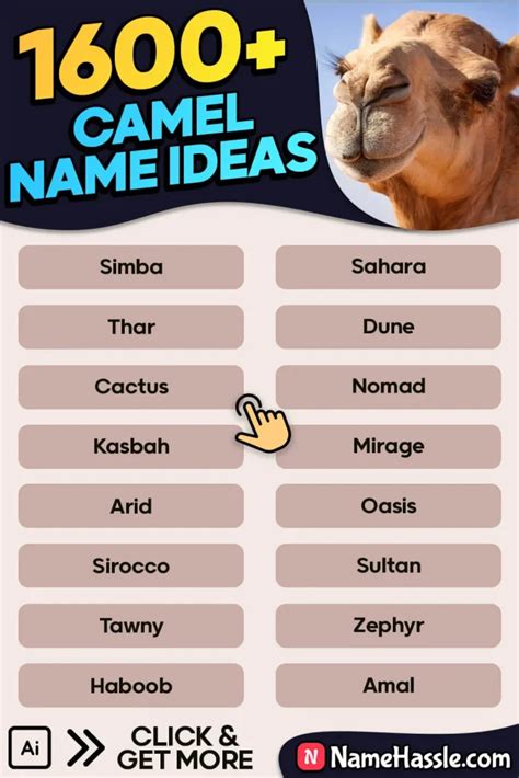 1600+ Cool & Funny Camel Names Ideas (Generator) 2024