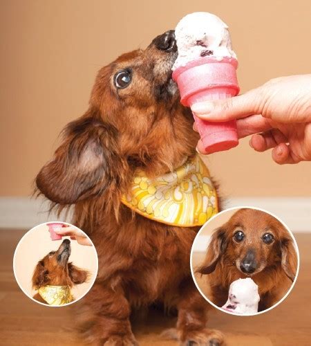 These Photos Of Dogs Eating Ice Cream Are Truly Adorable... - Page 2 of 2 - Leashes Optional