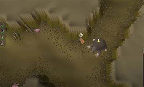 Giant Mole OSRS Guide [2022]: Go The Mole Nine Yards! - Rune Fanatics