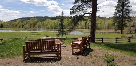 9 Best Pet-Friendly Cabins In Pagosa Springs, Colorado - Updated 2024 | Trip101