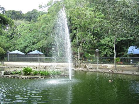 Kids love the birds - Labuan Bird Park, Labuan Town Traveller Reviews - Tripadvisor