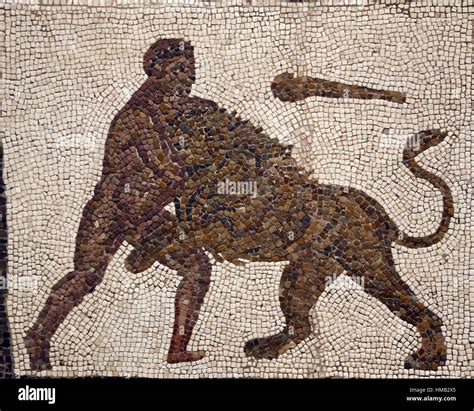 Mosaïque romaine avec les travaux d'Hercule. Premier travail. Lion de Némée. La pierre calcaire ...