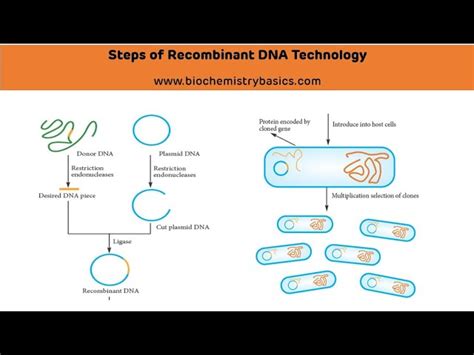 dna tutorial tour of the basics - aerosmithvanfoundbyamericanpickers