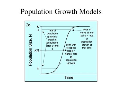 PPT - Population Growth Models PowerPoint Presentation, free download - ID:766051