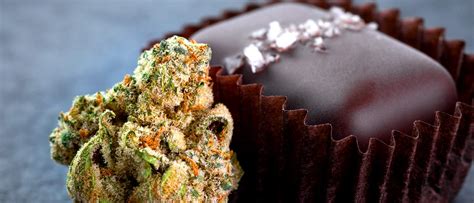 Trulieve to Provide Marijuana Edibles to Florida Patients | Grizzle