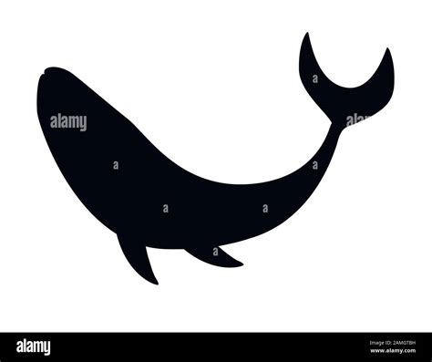 Cartoon Whale Silhouette / Gray and white shark illustration, shark ...