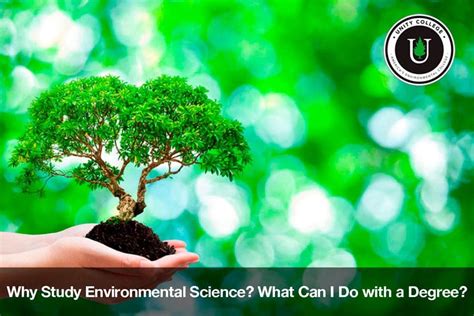 Why Study Environmental Science? - Unity Environmental University