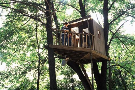 How to Build a Treehouse in the Backyard