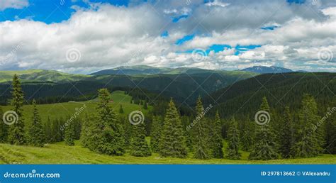 Alpine meadows stock photo. Image of tree, trail, ridge - 297813662