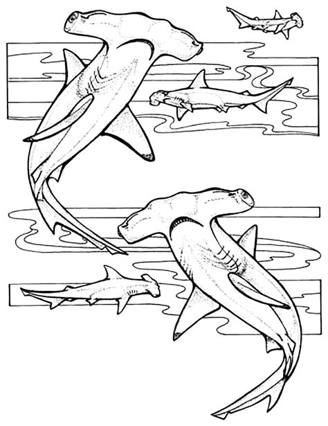 Hammerhead sharks - Sharks Kids Coloring Pages