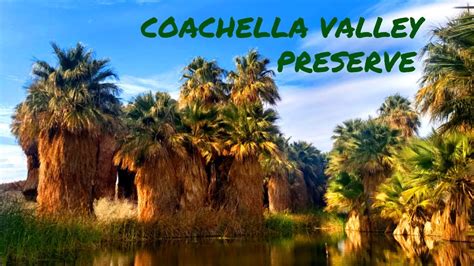 Coachella Valley Preserve (Palm Oasis) - Palm Desert, CA - YouTube