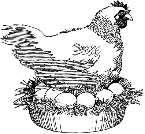 Fresh Nest~Herbs for chicken coops | Pet chickens, Herbs for chickens, Chicken and cow