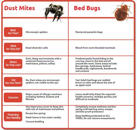 Dust Mites versus Bed Bugs | Bed bug bites, Bed bug remedies, Bed bugs