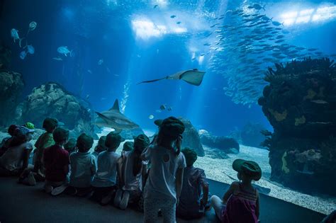 Oceanário de Lisboa