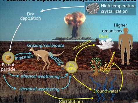 Fallout from nuclear tests at Maralinga worse than previously thought ...